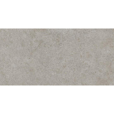 Ceralto Gravito Raw Carrelage de sol - 60x120cm - 9.0mm - rectifié - gris