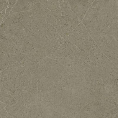 ÉCHANTILLON Terravito Allora carreau mural et de sol - 60x60cm - rectifié - Aspect béton - Taupe mat (brun)