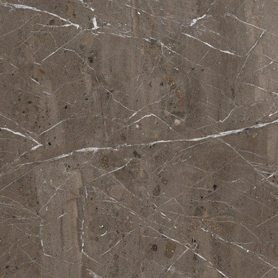 Ceralto Roccato Mineral Vloertegel - 120X120 - 6.5mm - mat - taupe