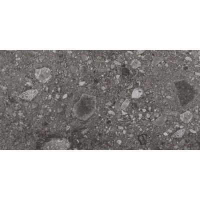 Vtwonen Carrelage de sol et de mur Composite 30x60cm 9mm rectifié R10 porcellanato Noir Anthracite