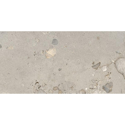 Ceralto Elaris Oak Carrelage de sol - 30x60cm - 9.0mm - rectifié - Sassi grigio p