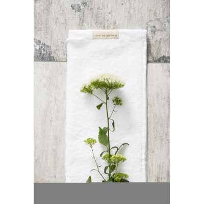 Walra Soft Cotton Serviette d'invité lot de 2 30x50cm 550 g/m2 Blanc