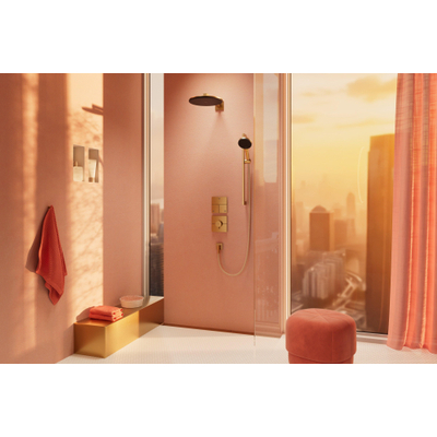 Hansgrohe Raindance alive S - hoofddouche 300 - 2jet - ecosmart wand - geborsteld brons (brons)