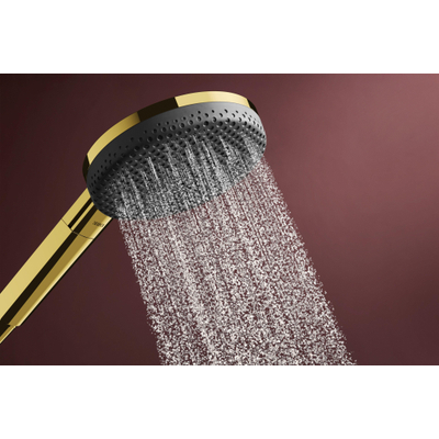 Hansgrohe Raindance alive Handdouche 125 - 3jet - ecosmart - gepolijst goud (goud)