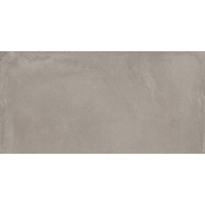 Imola Azuma Vloertegel - 60X120 - 6.5mm - mat - zilver