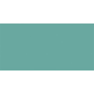Rako Color One Carrelage mural - 19,8x39,8cm - 7,0mm - turquoise