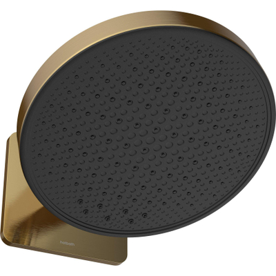 Hotbath &MORE Hoofddouche - 30cm - inbouw - rond - met box - 2 functies - PVD - geborsteld messing (goud)
