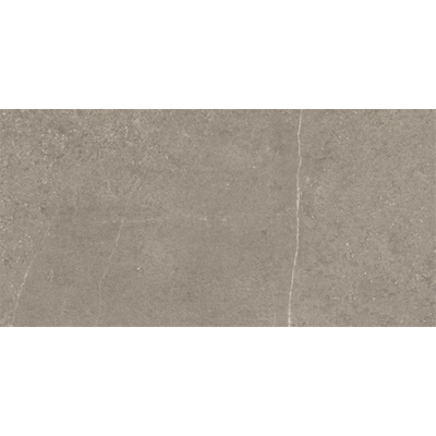 Ceralto Olivaro Sete Vloertegel - 30X60 - 10mm - mat - zilver