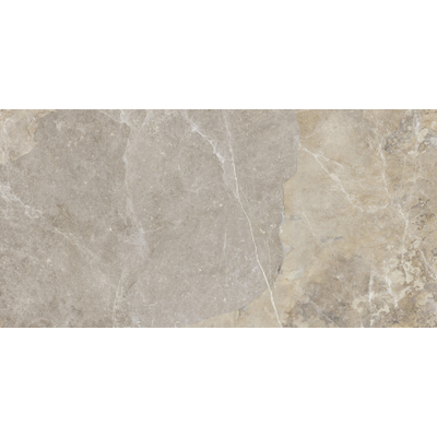 ÉCHANTILLON Terravito Hozino carreau mural et de sol - 59,5x120cm - 10mm - rectifié - gris