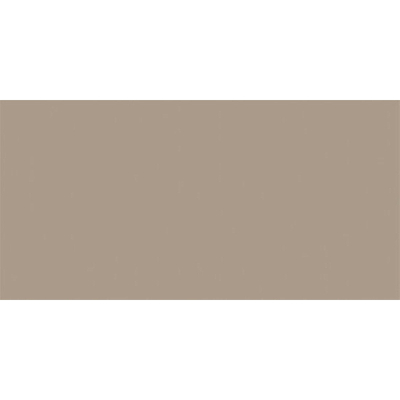 Rako Color One Wandtegel - 19.8x39.8cm - 7.0mm - Beige grey