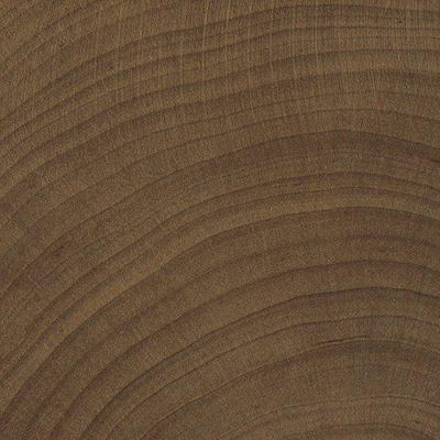 Vtwonen Tegels Woodcirkle Vloertegel - 10x10cm - 9.5mm - Wenge