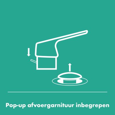 Hansgrohe Rebris e 1 greeps bidetmengkraan - met trekwaste metaal - chroom