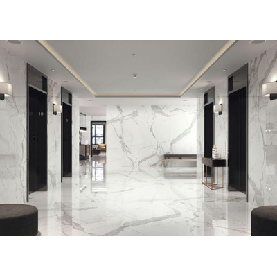 ÉCHANTILLON Terravito Alpuro carreau mural et de sol - 120x120cm - 9mm - Carré - rectifié - Imitation marbre - Blanc/noir brillant