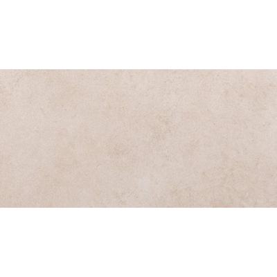 ÉCHANTILLON Ceralto Orsini Studio Carreau de sol - 30x60cm - 8.5mm - gris clair