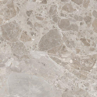 Ceralto Serrano Studio Vloertegel - 60x60cm - 8.2mm - gerectificeerd - Grey