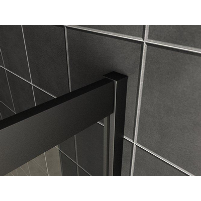 Wiesbaden Skyline cabine d'angle à entrée latérale avec 2 portes coulissantes 800 x 800 x 2000 x 8 mm verre clair nano cadre noir mat