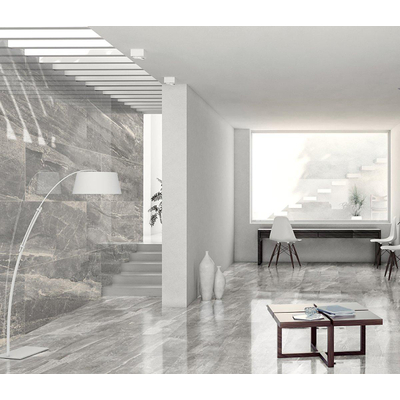 ÉCHANTILLON Terravito Codoro carreau mural et de sol - 60x60cm - 9mm - Carré - rectifié - Effet marbre - Gris clair mat