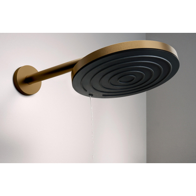 Hansgrohe Pulsify s hoofddouche 260 1jet ecosmart brushed bronze