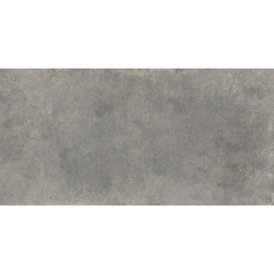 ÉCHANTILLON Terravito Sigillo carreau mural et de sol - 59.5x119.5cm - 8mm - rectifié - Aspect béton - Gris