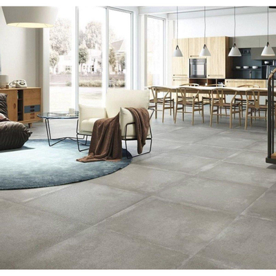 Terravito Savello wand- en vloertegel - 120x120cm - 10mm - Vierkant - gerectificeerd - Betonlook - Grijs mat