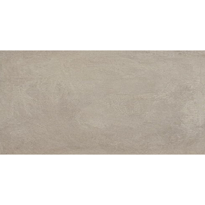 Terravito Corvio carreau mural et de sol - 30x60cm - Rectangulaire - 9mm - rectifié - aspect béton - gris