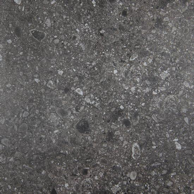 Vtwonen Carrelage de sol et de mur Composite 120x120cm 9mm rectifié R10 porcellanato Noir