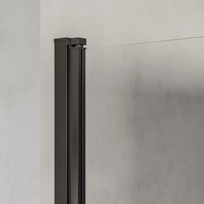BRAUER Cosmic Nisdeur - 90x200 - draaiend - helder - glas omkeerbaar incl. glascoating - geborsteld gunmetal PVD
