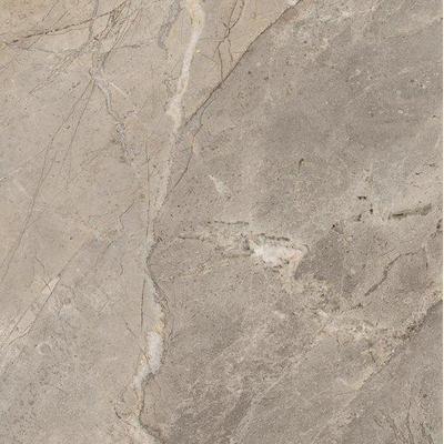 Ceralto Roccato Mineral Vloertegel - 60X60 - 10mm - mat - greige