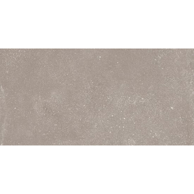 Ceralto Ivarno Core Vloertegel - 60X120 - 6.5mm - mat - zilver
