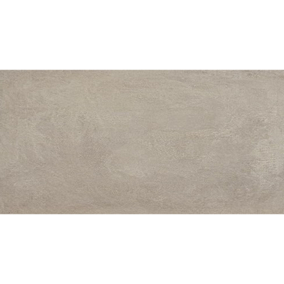 Terravito Corvio carreau mural et de sol - 30x60cm - Rectangulaire - 9mm - rectifié - aspect béton - gris