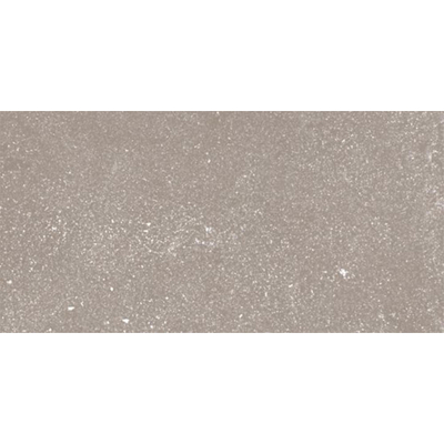 Ceralto Ivarno Core Vloertegel - 30X60 - 10mm - mat - zilver