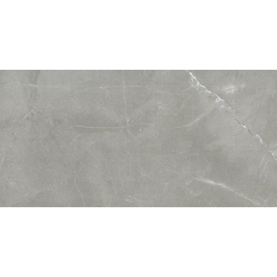 Ceralto Valerio Mini Carrelage de sol - 29.7x59.7cm - 9.0mm - rectifié - gris