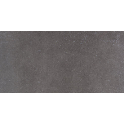 Metropol loussiana carreau de sol 30x60cm 9.6 avec anti gel rectifié grafito matt