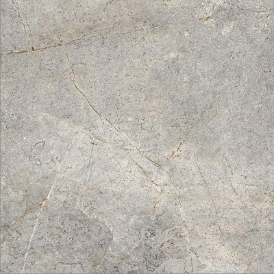 Ceralto Palazzo Vein Carreau de sol - 120x120cm - 9.5mm - rectifié - Evergreige