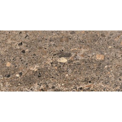 Ceralto Alabro Vein Vloertegel - 60x120cm - 9.0mm - gerectificeerd - Terra