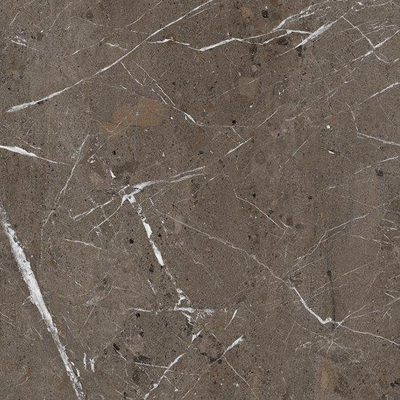 Ceralto Roccato Mineral Vloertegel - 60X60 - 10mm - mat - taupe