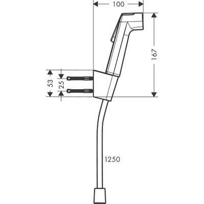 Hansgrohe Bidet douchette 1 jet EcoSmart avec porte-douche Porter S et flexible de douche 125 cm chrome