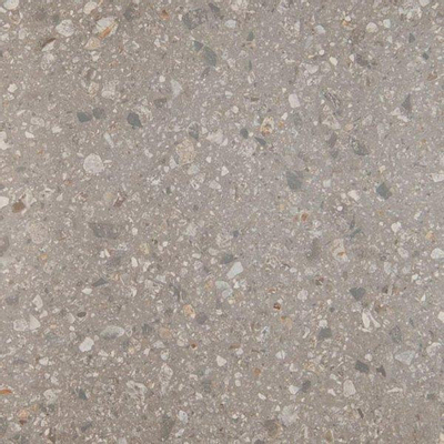 SAMPLE Ceralto Elaris Rock Vloer- en wandtegel 60x60cm 10mm gerectificeerd R10 porcellanato Naturale