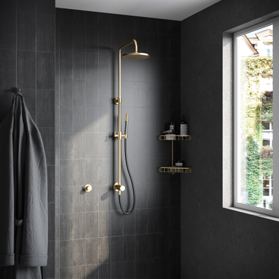 Hotbath Cobber Stortdoucheset - hoofddouche 20 cm en doucheslang - 150cm - met handdouche - PVD - geborsteld messing goud