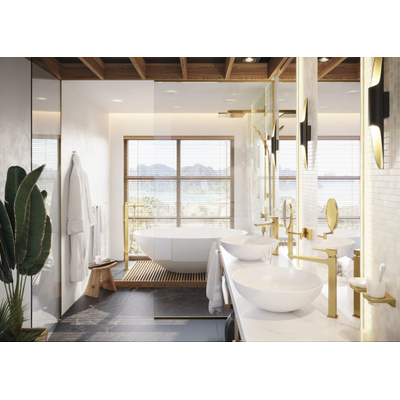 Hansgrohe AddStoris handdoekhaak enkel polished gold optic