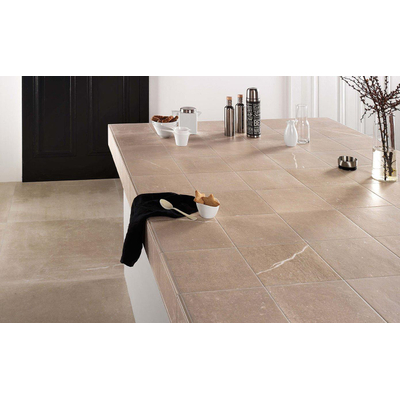 ÉCHANTILLON Terravito Ellino carreau mural et de sol - 60x60cm - 10mm - Carré - rectifié - Aspect pierre naturelle - Taupe mat