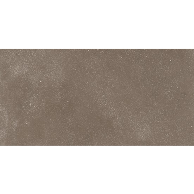 Ceralto Ivarno Core Vloertegel - 60X120 - 6.5mm - mat - donker beige