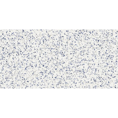 Ceralto Nocera Mini Vloertegel - 60x120cm - 9.0mm - gerectificeerd - Azzuro