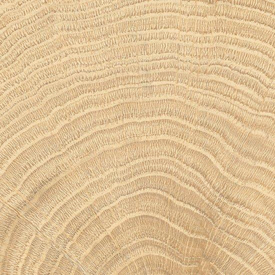 Vtwonen Tegels Woodcirkle Vloertegel - 10x10cm - 9.5mm - Oak