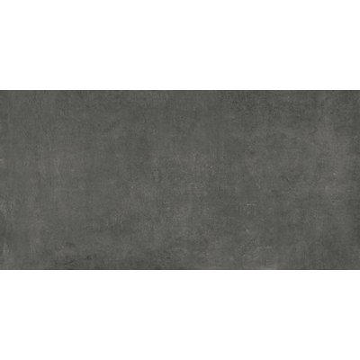 Serenissima Evoca Vloertegel 30x60cm 10mm vorstbestendig gerectificeerd Grafite Mat