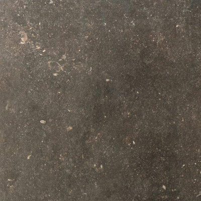 SAMPLE Ceralto Regalia Luxe 600X600 Elemental Desir Mat