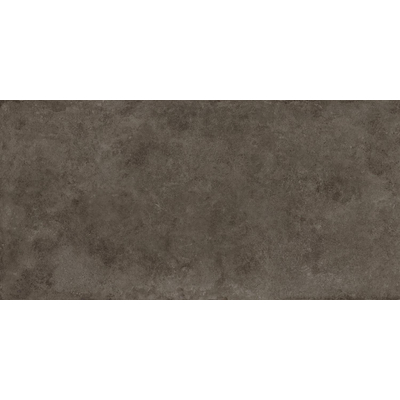 ÉCHANTILLON Terravito Sigillo carreau mural et de sol - 59.5x119.5cm - 8mm - rectifié - aspect béton - anthracite