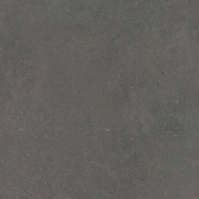 SAMPLE Terravito Selvico Carrelage parquet céramique murale et de sol - 120x120cm - 9mm - Anthracite
