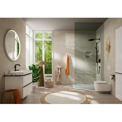 Hansgrohe Addstoris closetrolhouder met planchet mat zwart
