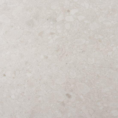 SAMPLE Ceralto Ravina Slate Vloer- en wandtegel - 60x60cm - 9mm - gerectificeerd - Porcellanato gekleurd - Snow (Wit)